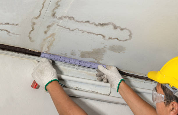 Reliable Mold Remediation contractor in Stockport, OH by Water Damage Irwin